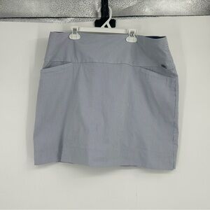 S.C.‎ & Co. Blue Stripe Athletic Skort Size XL Tennis Golf Outdoor Preppy